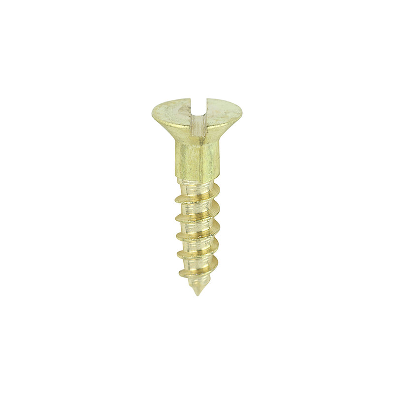 Solid Brass Timber Screws Slot 3.0 x 12mm (4 x 1/2") - Countersunk