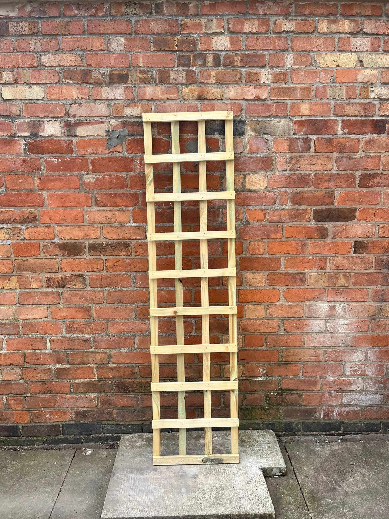 Handmade 6 Foot (1.8m) Outdoor Rectangle Sturdy Trellis (LOCAL PICKUP / DELIVERY ONLY)