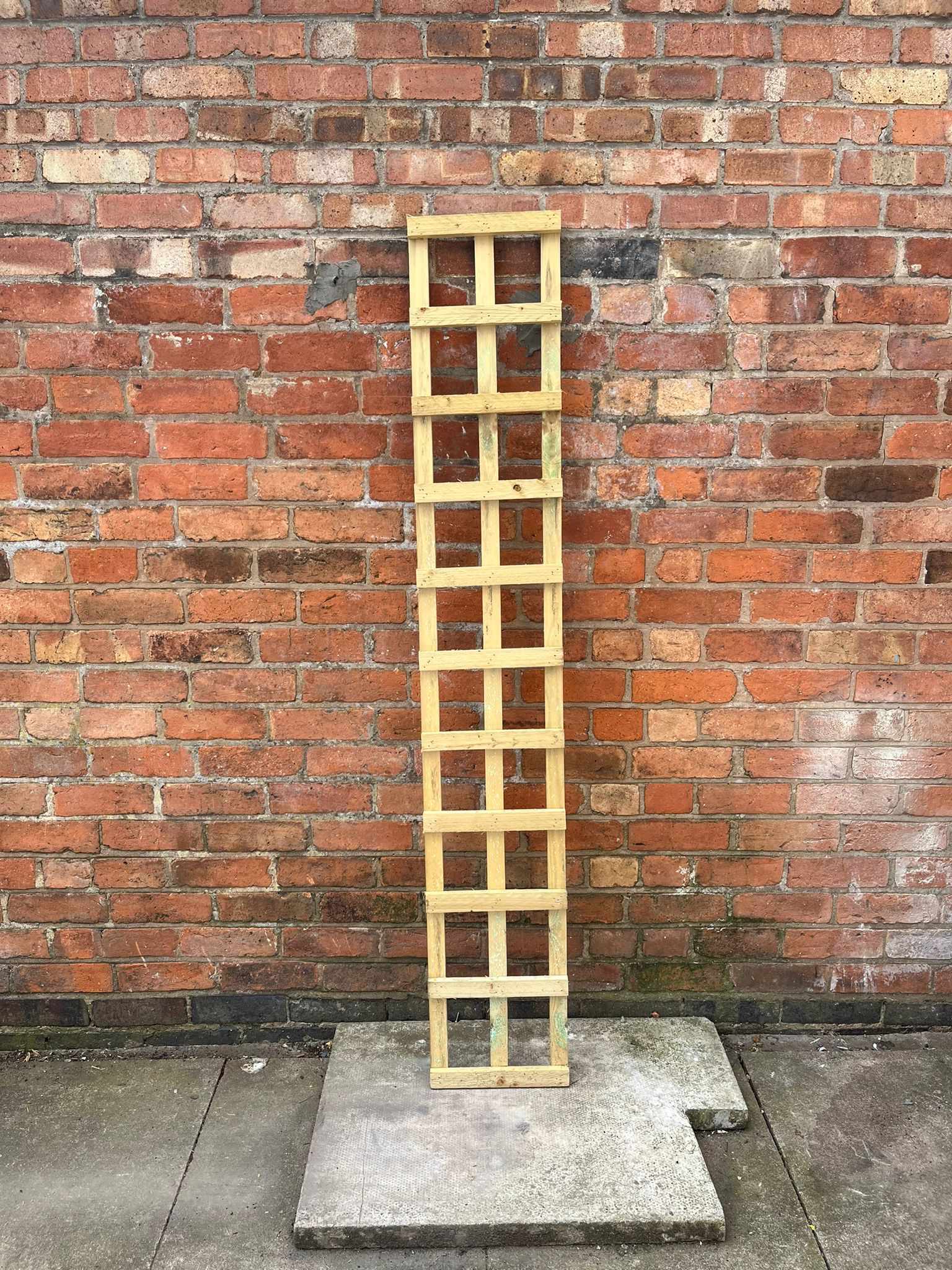 Handmade 6 Foot (1.8m) Outdoor Rectangle Sturdy Trellis (LOCAL PICKUP / DELIVERY ONLY)