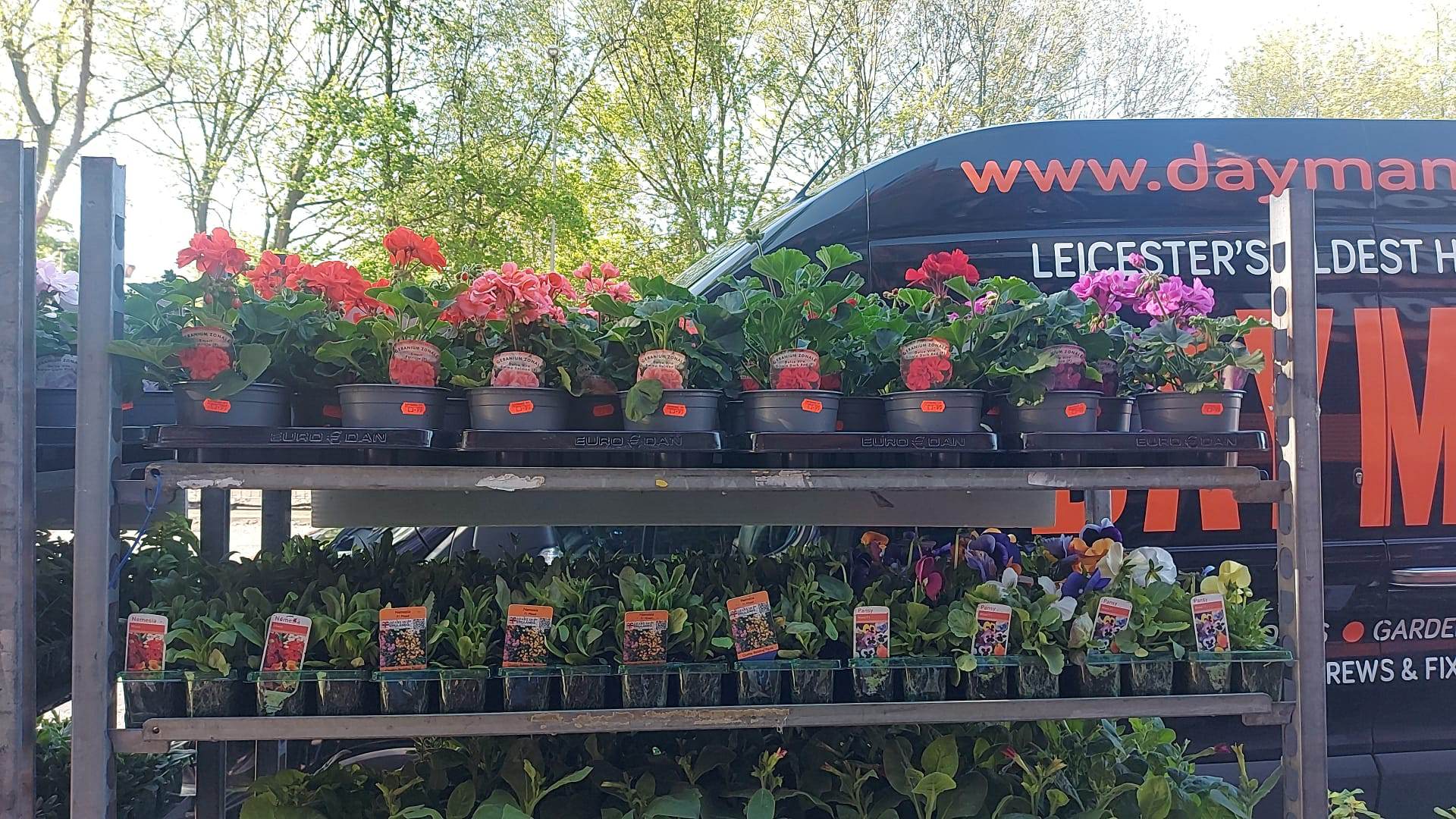 British Grown Summer Bedding Plants (LOCAL PICKUP / DELIVERY ONLY)