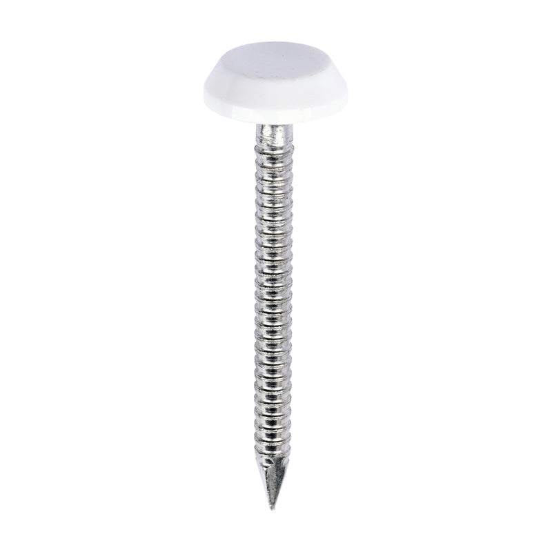 Polymer White Headed Stainless Steel Nails - 65mm (2 1/2in) Box of 100 (PN65W)