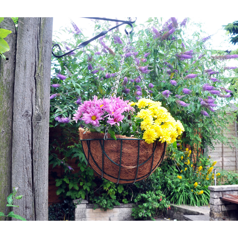 Kingfisher 14" Hanging Basket (HB14G)