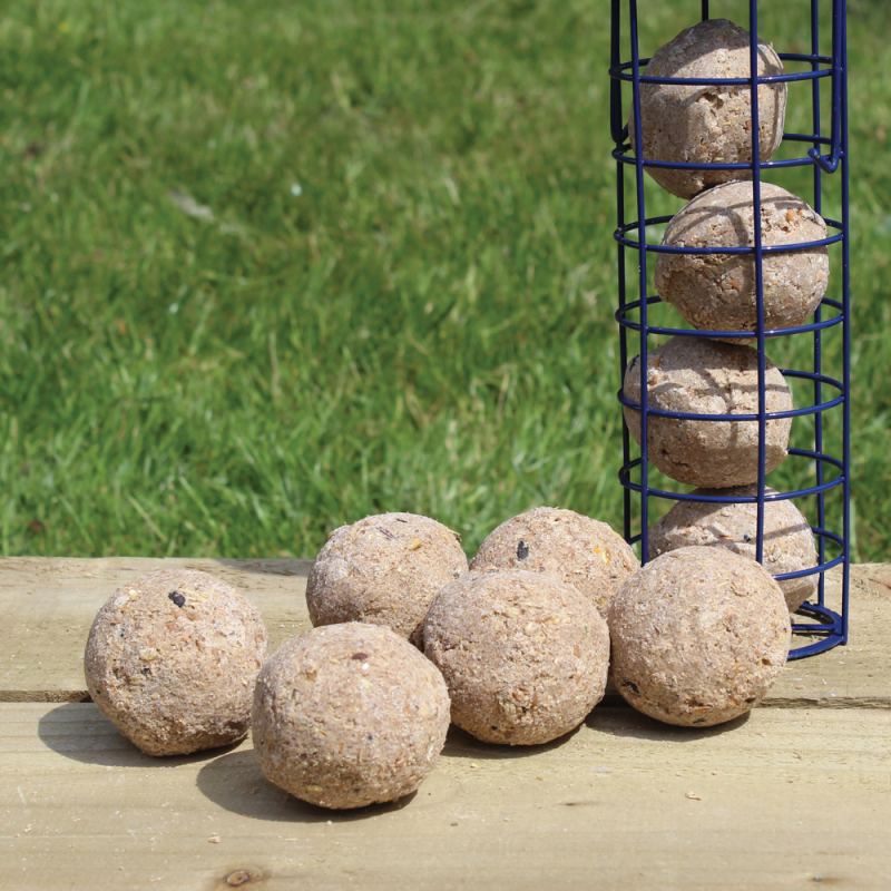 Wild Bird Foods - 6 Suet Bird Fat Balls