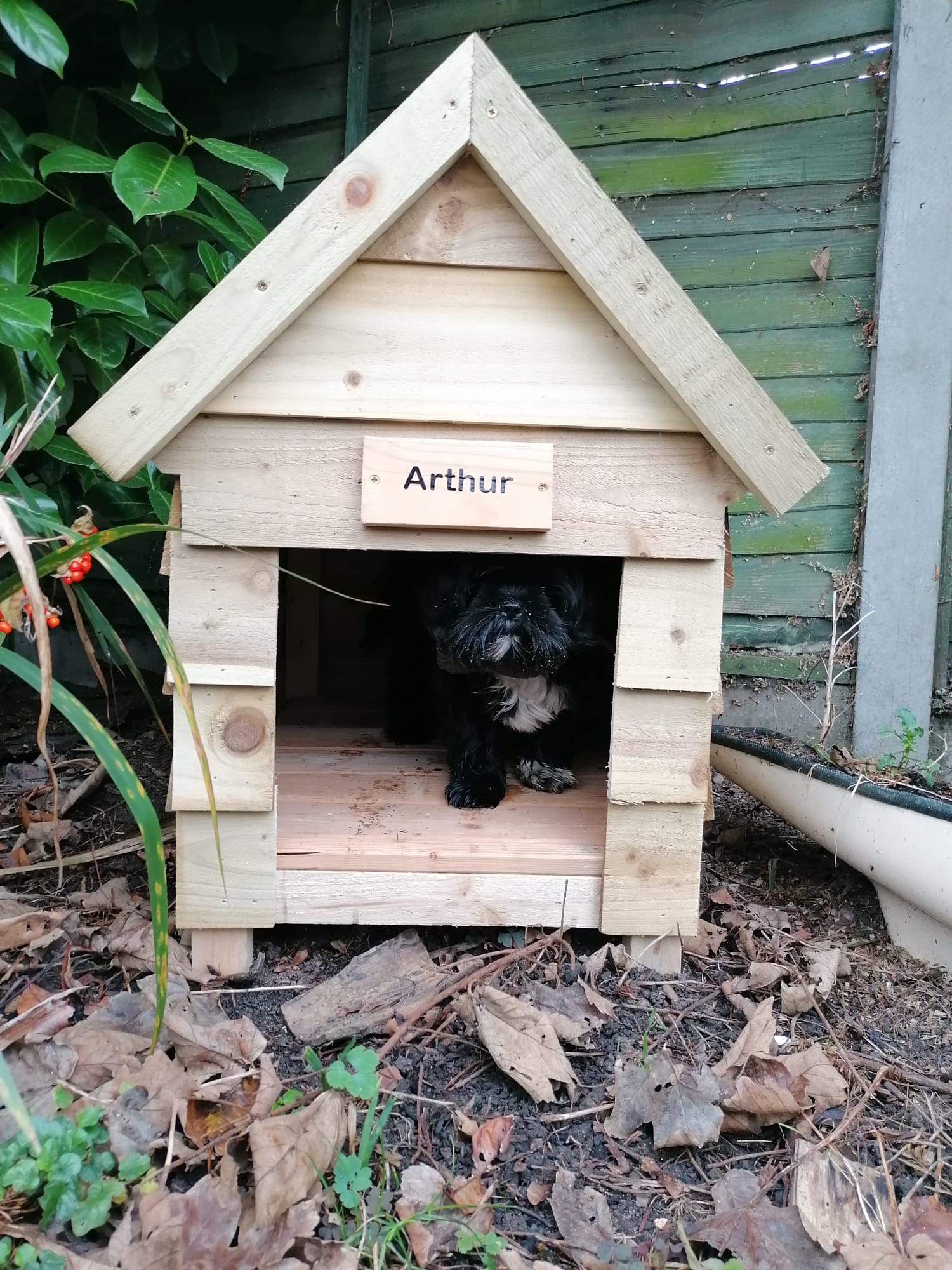 Handmade Bespoke Wooden Personalised Dog Kennel