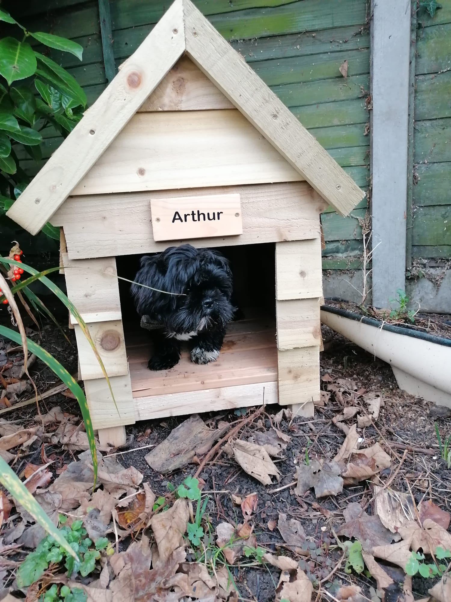 Handmade Bespoke Wooden Personalised Dog Kennel