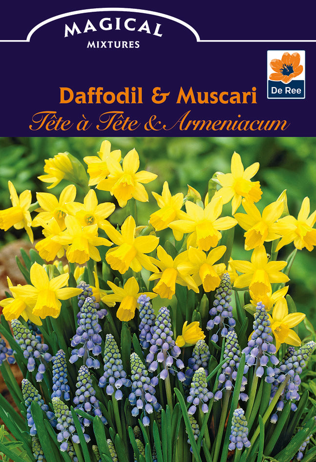 De Ree UK Magical Mixtures & Colour Combinations Spring Flowering Bulbs