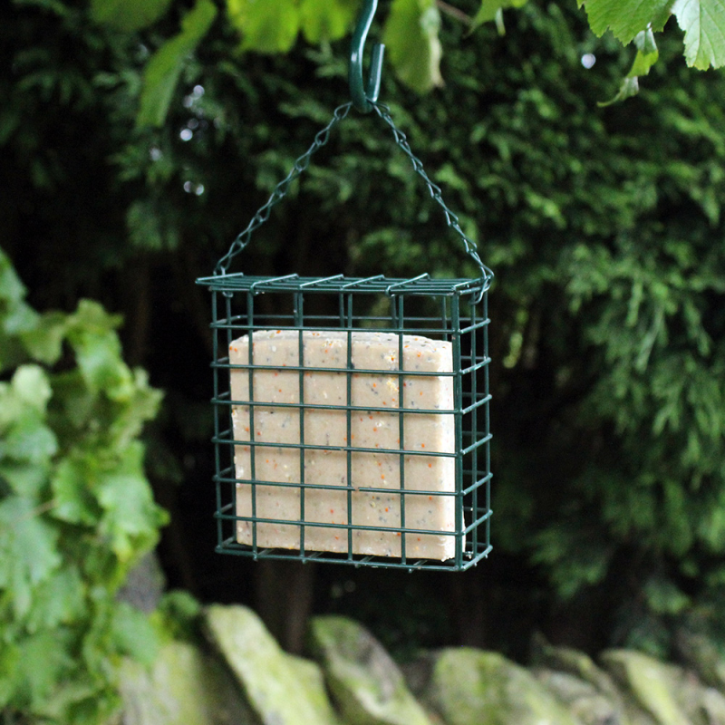 Nature's Market Wild Bird Suet Cake Feeder (BF030)