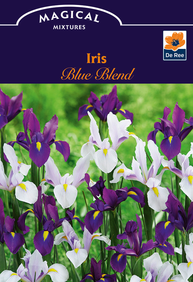 De Ree UK Magical Mixtures & Colour Combinations Spring Flowering Bulbs