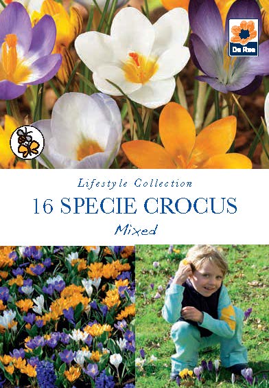 De Ree UK Lifestyle Spring Flowering Bulbs