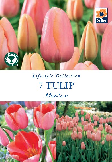 De Ree UK Lifestyle Spring Flowering Bulbs