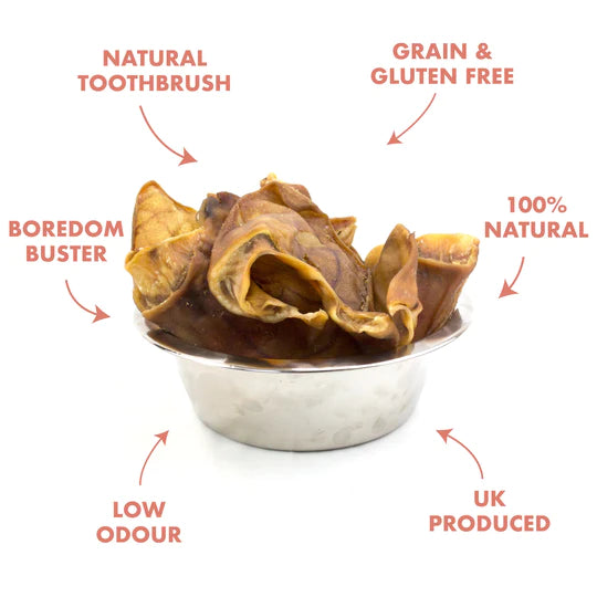 Dried Pigs Ear Dog Treat