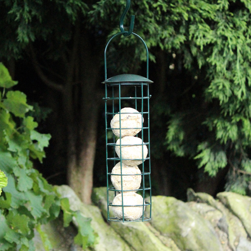 Nature's Market Green Standard Suet Fat Ball Bird Feeder (BF029)