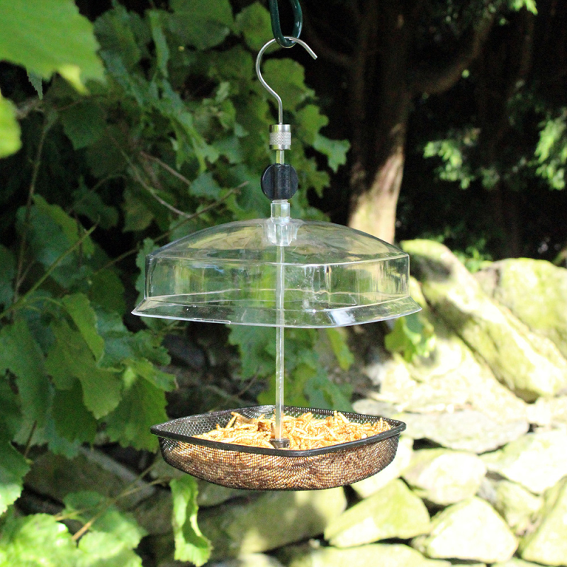 Nature's Market Hanging Mealworm Feeder (BF026)