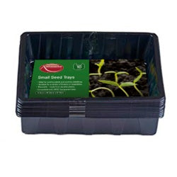 Ambassador - Small Seed Trays - 10 Pack